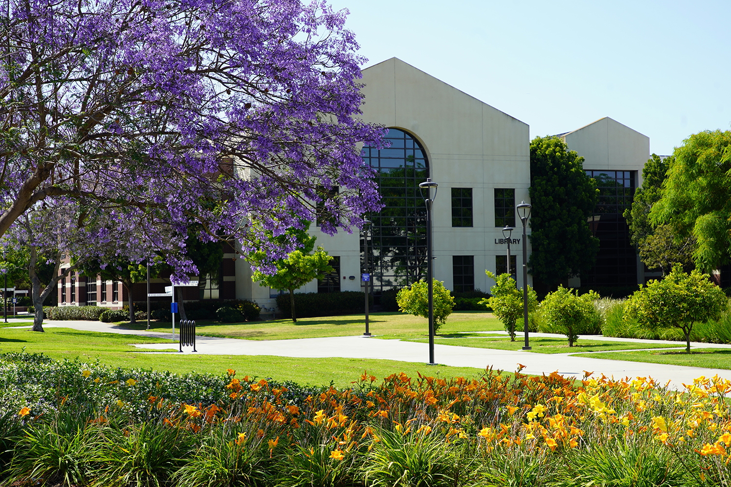 Photo of the IVC library building and campus landscaping