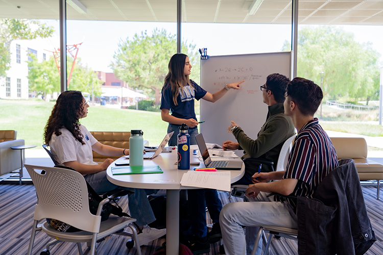 Students working in a group 